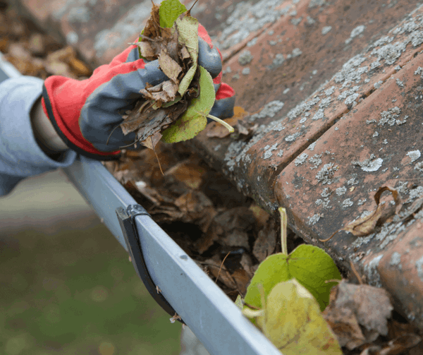 Gutters Cleaning