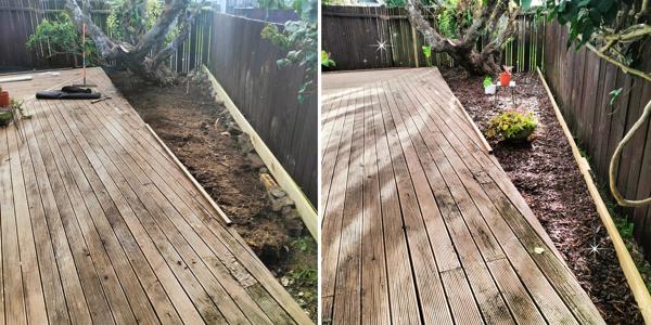 Budget Friendly Landscaping Project - Before and After Results