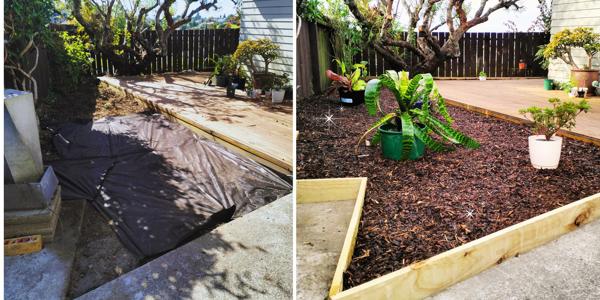 Landscaping Project - Great Before and After Results
