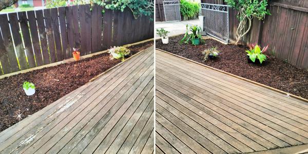 Cost effective Home Landscaping Tips