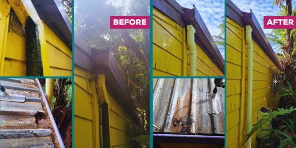 Gutter maintenance and clean up