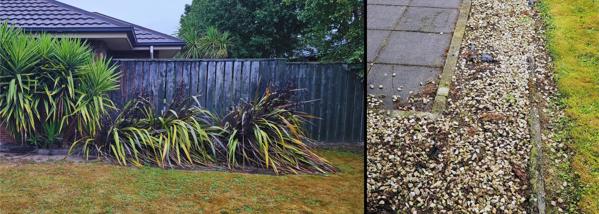 Property outdoor makeover before