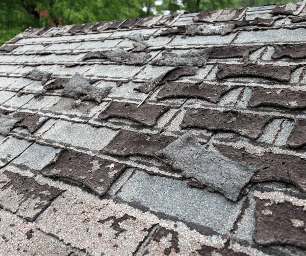 Roof Inspection